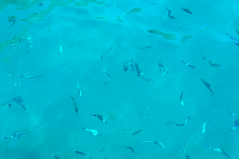 From Positano: Half-Day Amalfi Coast Boat Tour & Snorkeling From Positano: Half Day Amalfi Coast Boat Tour & Snorkeling