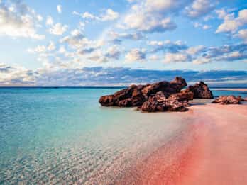 Da Chania: Tour di un giorno sull'isola di Elafonisi in autobus