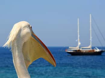 Reise von Athen nach Mykonos an einem Tag