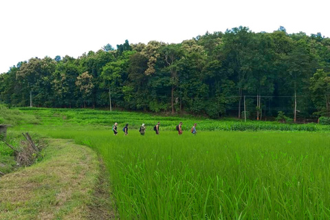 Chiang Mai: jungletocht, olifanten en verblijf in een bergstamdorpChiang Mai: tweedaagse jungletocht met verblijf in de bergstam