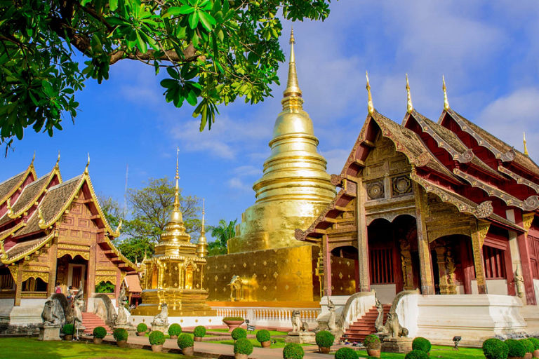 Chiang Mai: 3 Hour Old City and Temples Guided Walking TourGroup Tour