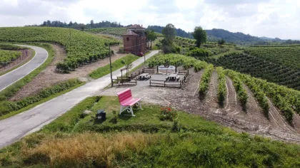 Degustation von Weinen aus dem Monferrato mit Besuch der Kantine