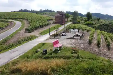 Degustazione di vini del Monferrato con visita della cantina