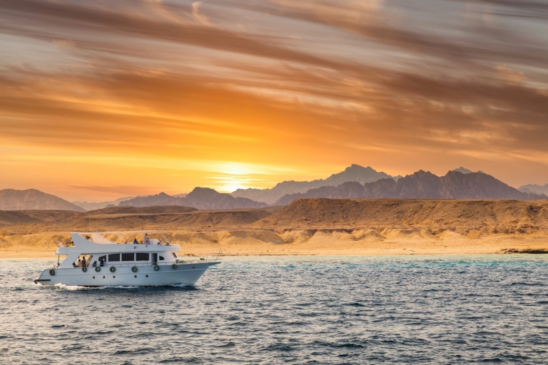 Sharm El Sheikh: Navegación de un día a la Isla Blanca y a Ras MohamedIsla Blanca y Ras Mohamed con equipo de snorkel