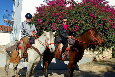 Excursión privada de 3 días a Micenas, Nauplia, Hidra y la isla de SpetsesOpción Estándar 3 días Nauplia, Hidra, Spetses