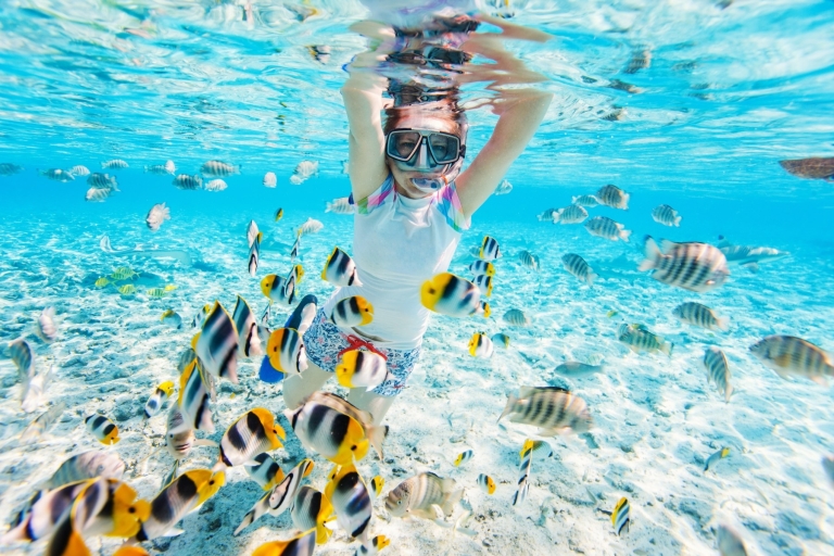 Z Safagi: wyspa Orange, nurkowanie, nurkowanie z rurką i sporty wodneSafaga: prywatne transfery, nurkowanie, nurkowanie z rurką na Wyspie Orange