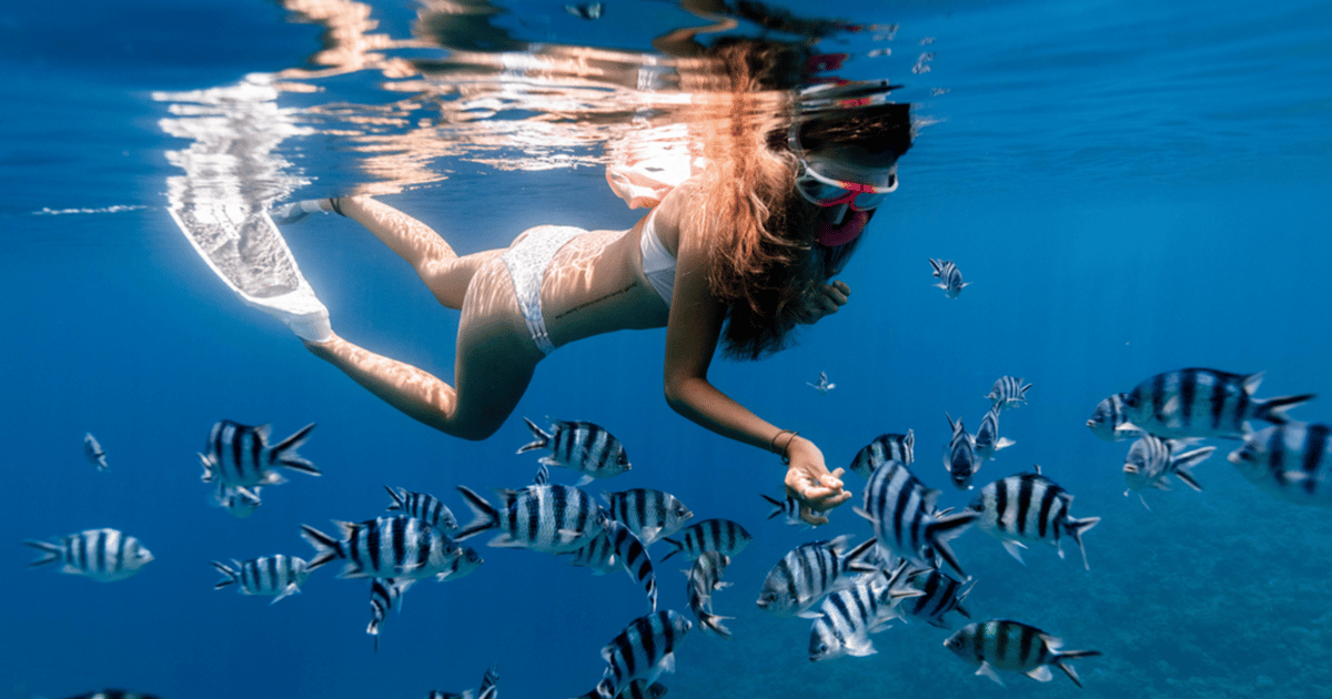 Snorkeling At Blue Lagoon Tanjung Jepun Waterfall GetYourGuide