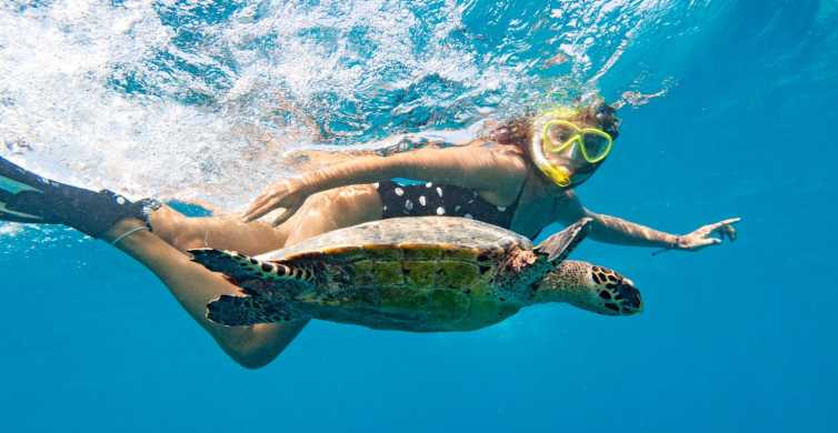 Marsa Alam: Snorkeling Boat Trip with Sea Turtles and Lunch
