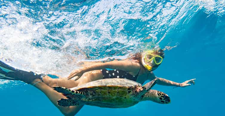 Marsa Alam: Snorkeling Boat Trip with Sea Turtles and Lunch