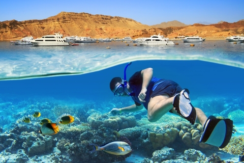 Sharm El Sheikh: Ras Mohammed and White Island Luxury Cruise Ras Mohammed Cruise with BBQ Lunch with one Intro Dive