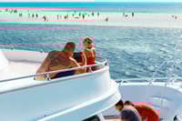 Sharm El Sheikh, Ras Mohammed and Island Cruise with Lunch - Housity