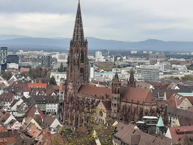 Visit Freiburg Walking and Strolling the Historic Center in Friburgo, Alemania