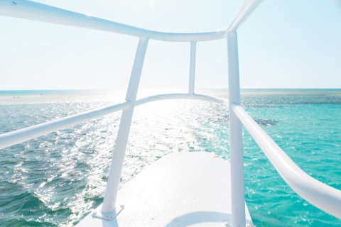 Sharm El-Sheikh: luxe cruise naar Ras Mohammed en White IslandCruise met snorkelen en bezoek aan Ras Mohammed