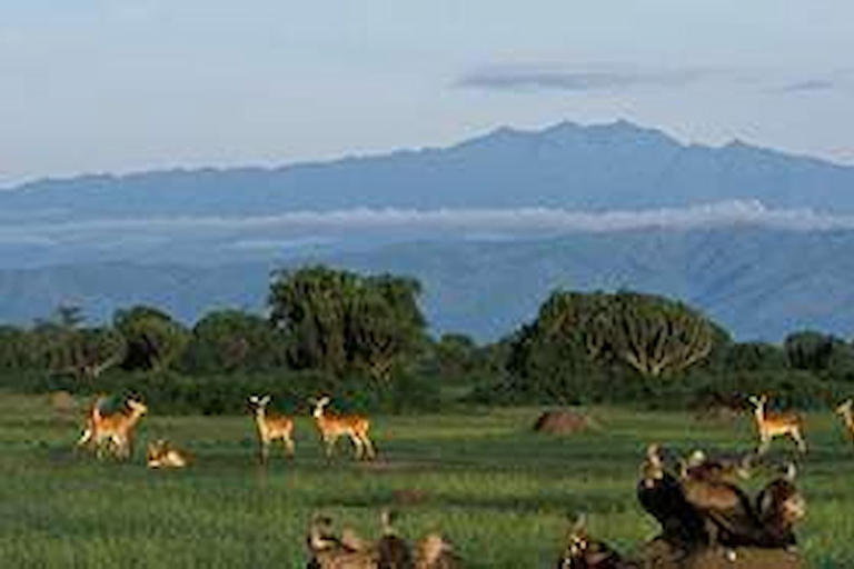 Kampala: Safari de 2 días por la fauna salvaje de la Reina Isabel