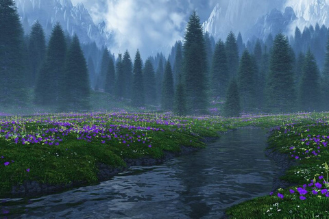 From Seattle: Twilight Forks Washington Tour