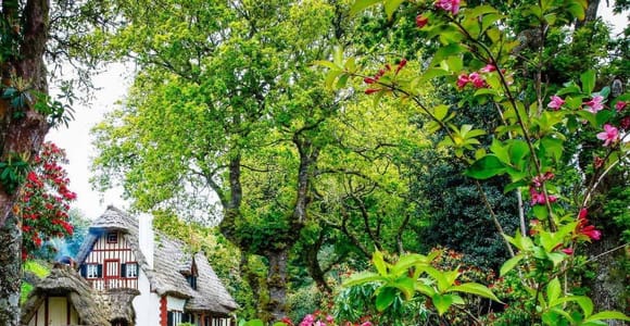 Madeira: Levada Walking Tour - Queimadas, Caldeirão Verde