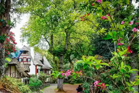 Madeira: Walking Tour - Queimadas / Caldeirão Verde