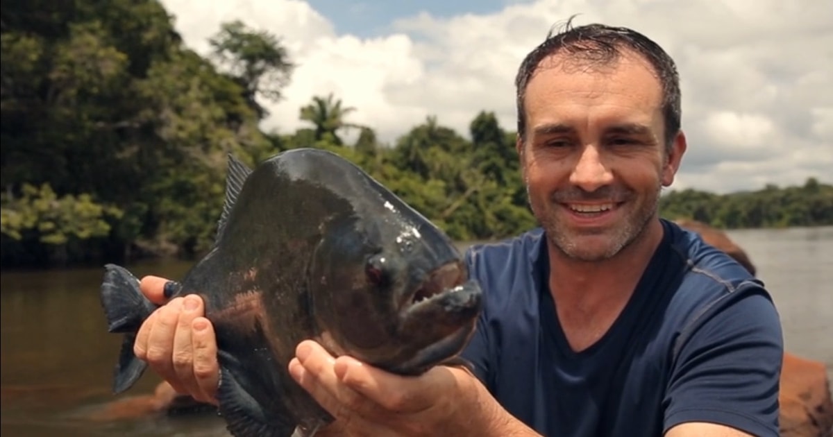 Iquitos Piranha Fishing Experience in the Amazon jungle GetYourGuide