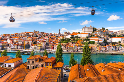 Privétour van een hele dag in Porto vanuit Lissabon