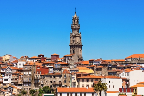 Privétour van een hele dag in Porto vanuit Lissabon