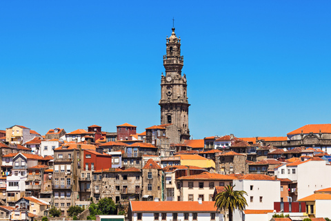 Excursión privada de un día en Oporto desde Lisboa