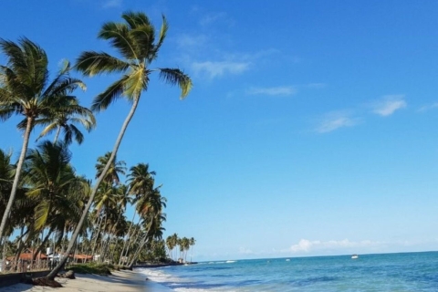 Z Recife: Plaża CarneirosZ Recife: Plaża Carneiros bez katamara
