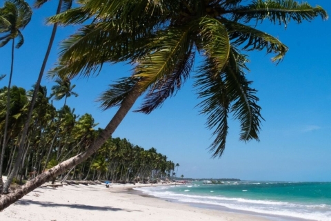 Von Recife : Strand von CarneirosVon Recife aus: Carneiros Strand ohne Catamara
