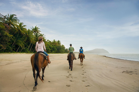 COSTA RICA:UPPTÄCK COSTARICAS VILDA DJUR-STRAND &amp; SKOG 2VECKOR