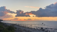 Hornbær, Kajakleje med levering på aftalt - Hizvo