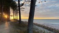 Hornbær, Kajakleje med levering på aftalt - Hizvo