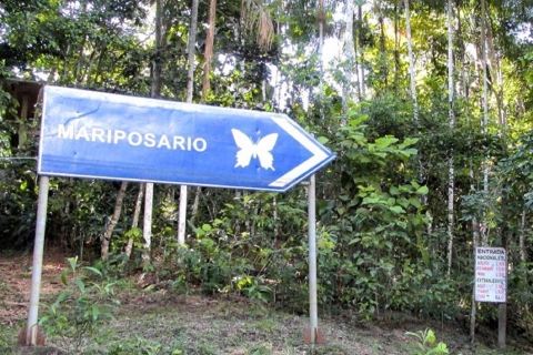 Excursión a la Granja de Mariposas de Pilpintuwasi