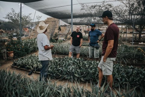Depuis Oaxaca : visite guidée de l'artisanat et de la cuisine