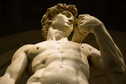 Florenz: Tour ohne Anstehen durch die David- und Accademia-Galerie
