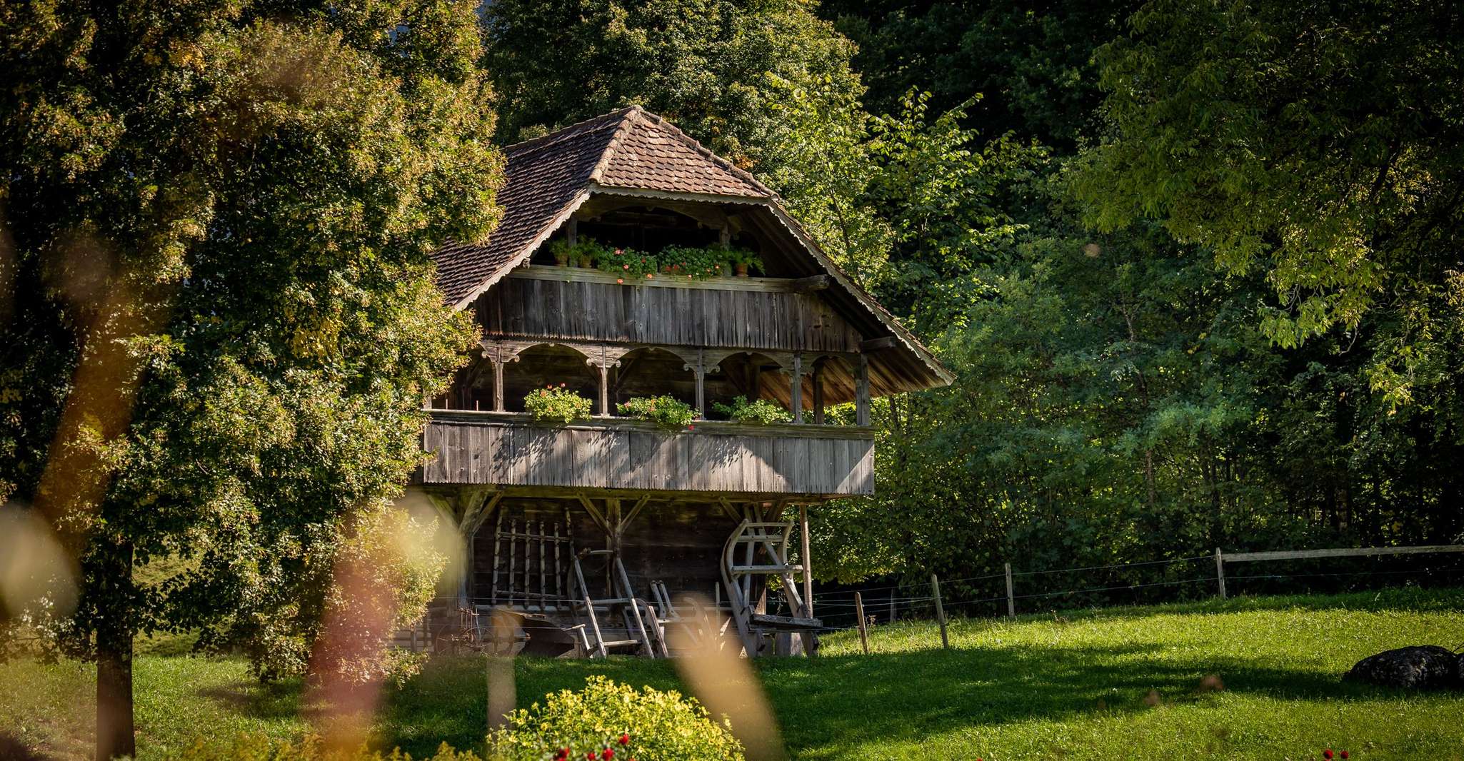 Billet du musée Ballenberg - Hizvo