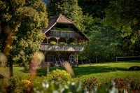 Biglietto del museo di Ballenberg - Hizvo