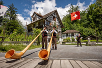 Biglietto del museo di Ballenberg - Hizvo