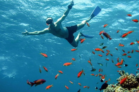 Wassersport in AqabaFliegenbrett