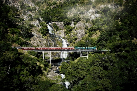 Cairns: Skyrail i Kuranda Scenic Rail – wycieczka w małej grupieKuranda by Kuranda Scenic Rail i Skyrail – wycieczka w małej grupie