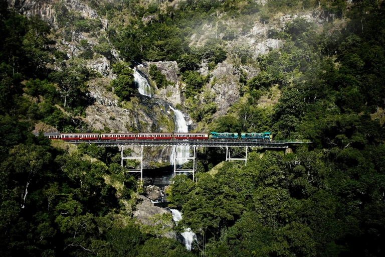 Cairns: Skyrail y Tren panorámico de Kuranda - Excursión de un día en grupo reducidoKuranda en tren panorámico y Skyrail - Excursión en grupo reducido