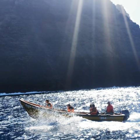 Visit Islets boat tour Half Day Private Tour in Easter Island