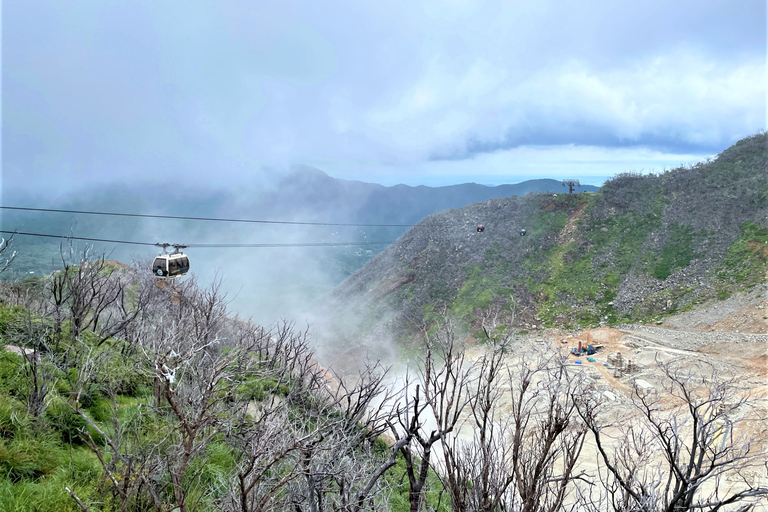 Depuis Tokyo : Excursion au Mont Fuji et à Hakone avec retour en train BulletRetour en train Bullet Shinkansen avec déjeuner inclus