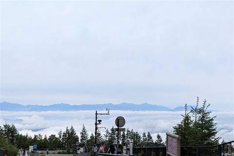 From Tokyo: Mt. Fuji & Hakone Tour w/ Return by Bullet Train Return by Shinkansen Bullet Train with Lunch Included