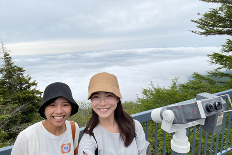 Depuis Tokyo : Excursion au Mont Fuji et à Hakone avec retour en train BulletRetour en train Bullet Shinkansen avec déjeuner inclus