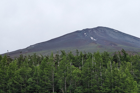 Depuis Tokyo : Excursion au Mont Fuji et à Hakone avec retour en train BulletRetour en train Bullet Shinkansen avec déjeuner inclus