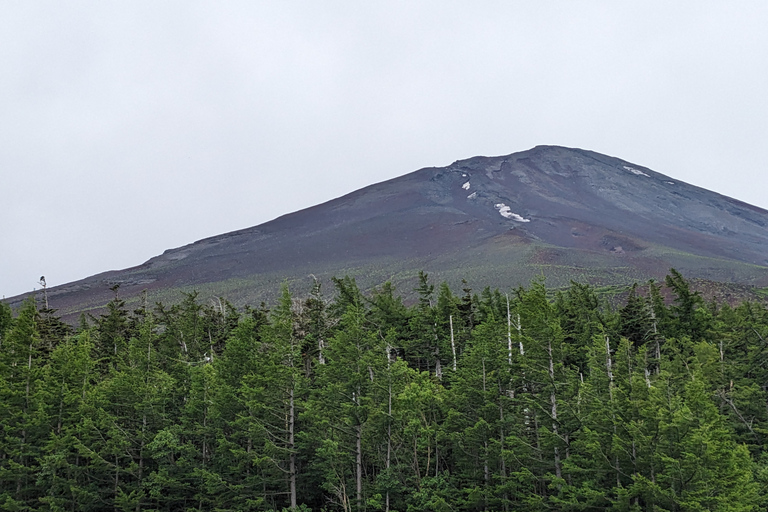 Depuis Tokyo : Excursion au Mont Fuji et à Hakone avec retour en train BulletRetour en train Bullet Shinkansen avec déjeuner inclus