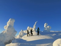 Da Ruka, racchette da neve nel parco nazionale di Riisitunturi - Housity