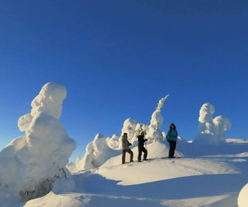 From Ruka: Snowshoeing in Riisitunturi National park