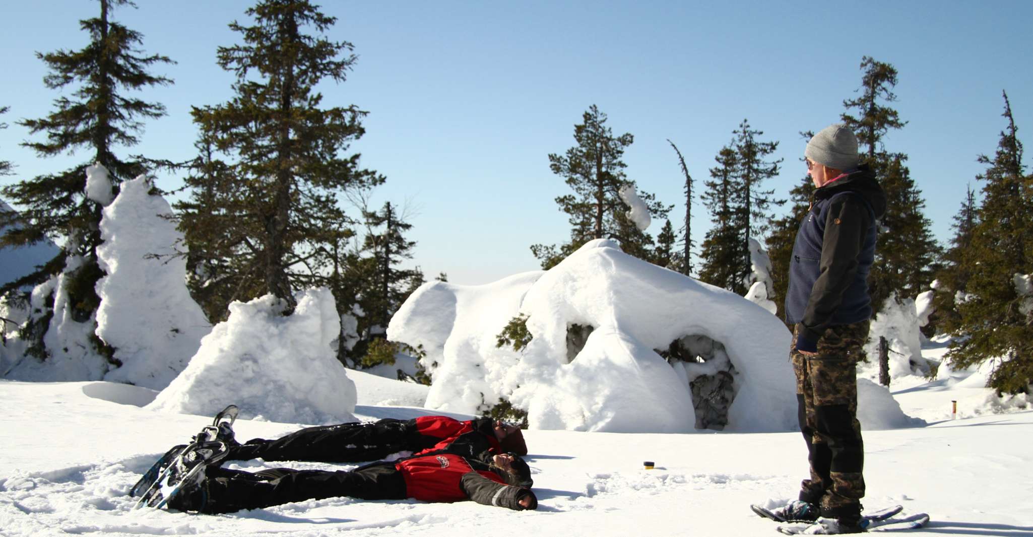 From Ruka, Snowshoeing in Riisitunturi National park - Housity