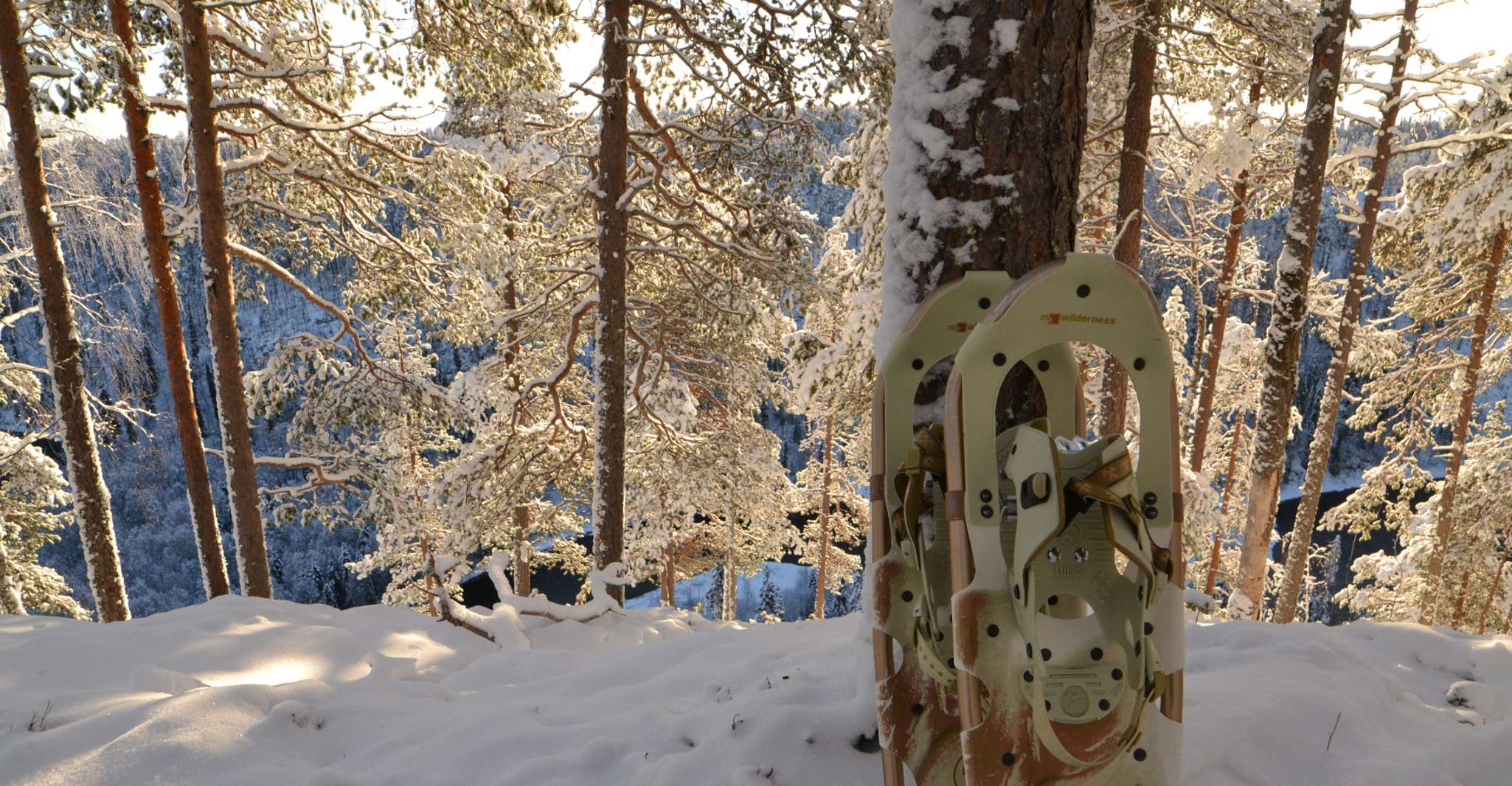 From Ruka, Snowshoeing in Riisitunturi National park - Housity