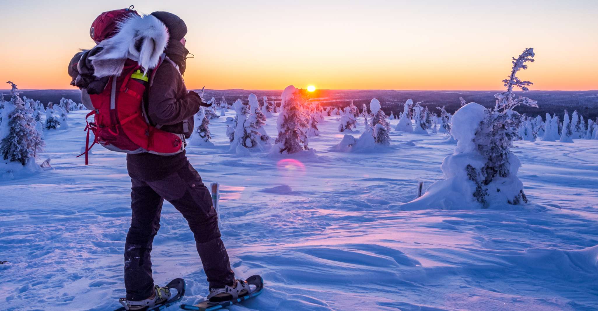 From Ruka, Snowshoeing in Riisitunturi National park - Housity